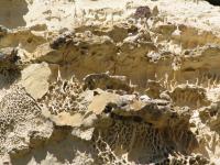 Albums/20060200-New Zealand 2006/20060316-Twiz/30